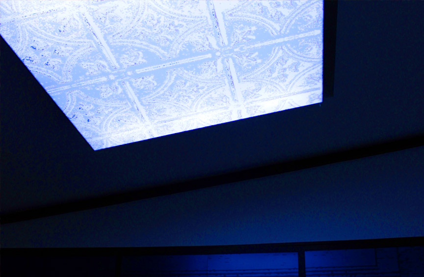 Showroom Exhibit par Florence Bourel. https://florencebourel.com/