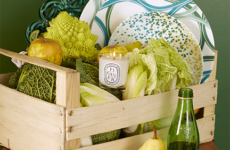 Ovale en couleurs. Diptyque